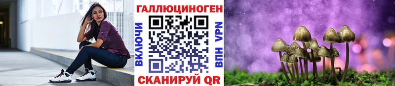 Купить закладки  Полевской  Галлюциногенные грибы Cubensis 